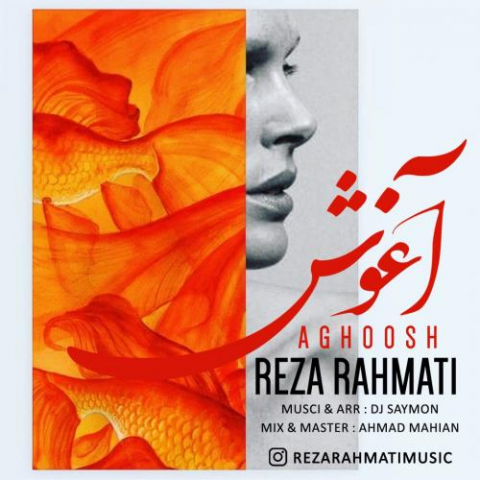 reza rahmati aghoosh 2022 08 13 00 37