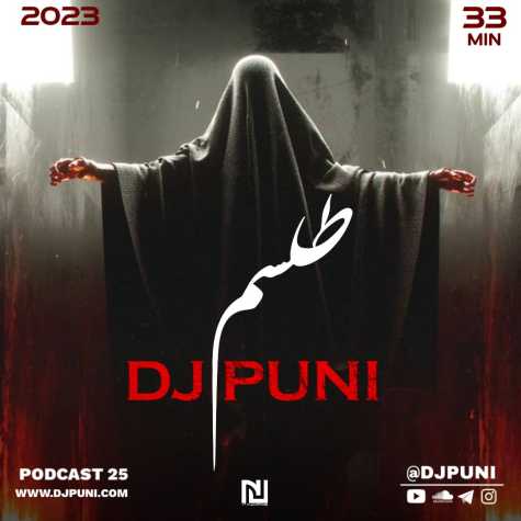 dj puni telesm 2023 03 17 17 18