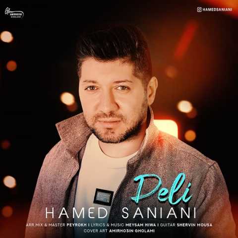 hamed saniani deli 2023 11 23 20 05