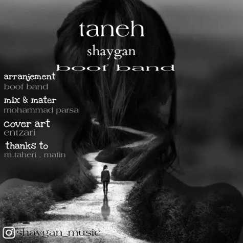 shaygan taneh 2024 01 27 12 10