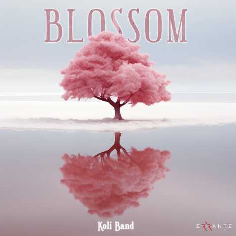 koli band blossom 2025 02 11 12 25