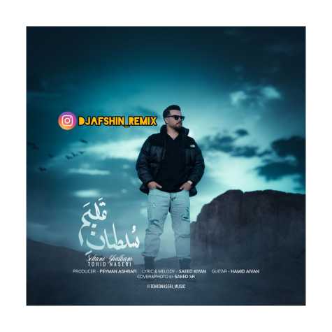 tohid naseri remix soltan ghalbam 2025 02 19 16 00