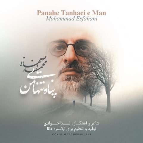 mohammad esfahani panahe tanhaei man 2025 03 03 17 55