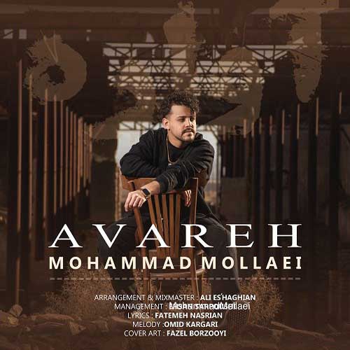 mohammad mollaei avareh 2025 03 14 22 10