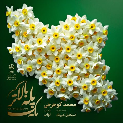 دانلود آهنگ محمد کوهرخی یک پله بالاتر 1 mohammad koohrokhi yek pelle balatar 2025 05 03 17 25