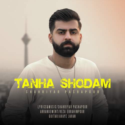 shahriyar pashapour tanha shodam 2025 05 14 18 10