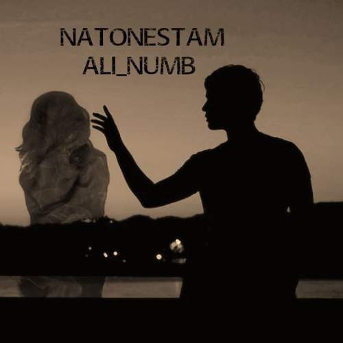 دانلود آهنگ علی دپرس نتونستم 2 ali numb natoonestam 2025 10 08 08 25