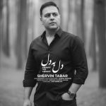 دانلود آهنگ شروین تبار دل به دل دانلود آهنگ شروین تبار دل به دل