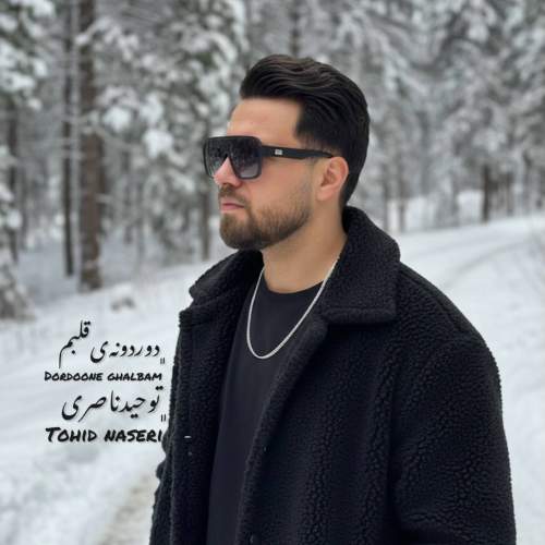 tohid naseri dordooneye ghalbam 2025 12 25 22 50